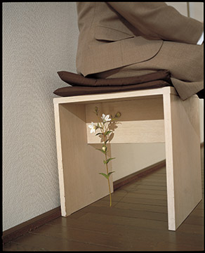 《桔梗》2003年（参考作品）